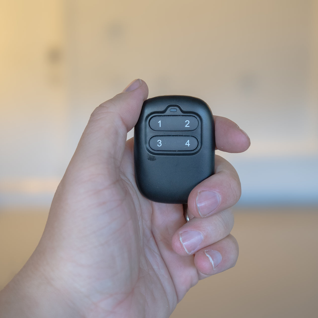 Remote Control for Garage Storage Lift | Auxx-Lift – Auxx-Lift Store